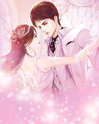 守护圣女prism saber游戏